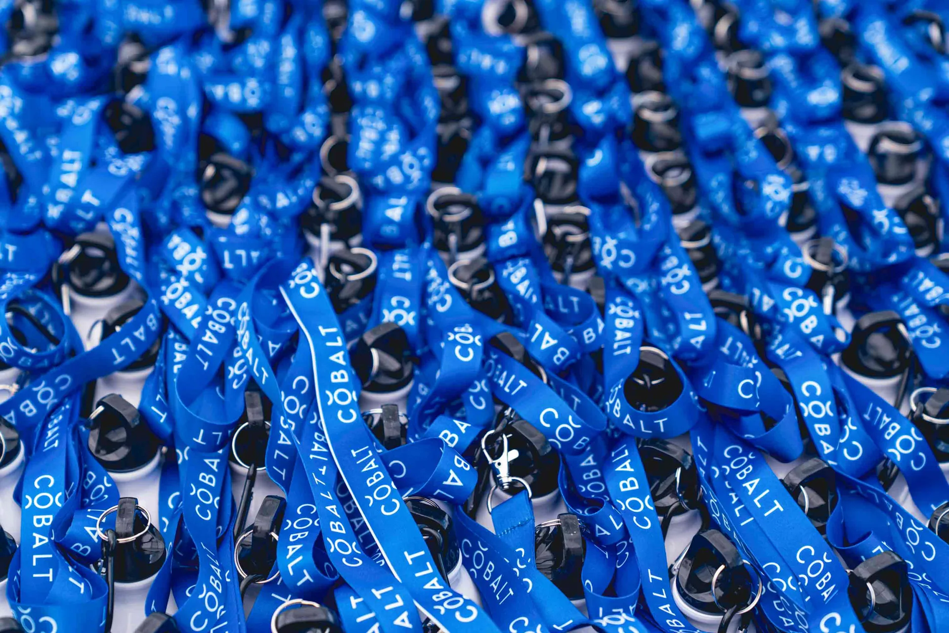 Cobalti joogipudelid Investeerimisfestivalil, pildistas tootefotograaf Mailis Vahenurm Näide brändi fotograafiast tootefotode puhul, pildistas Mailis Vahenurm.