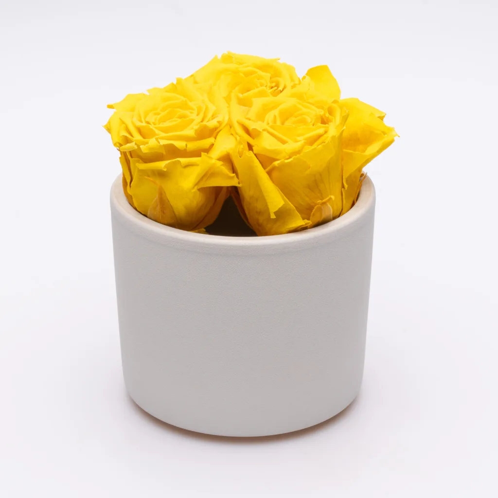 Tootefoto valgel taustal lillevaasist, pildistas fotograaf Mailis Vahenurm.