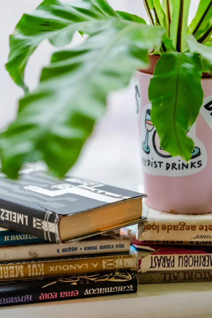 Näide brändi fotograafiast tootefotode puhul, pildistas Mailis Vahenurm.